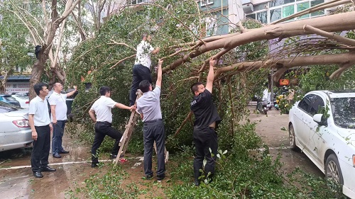 六台宝典资料免费大全