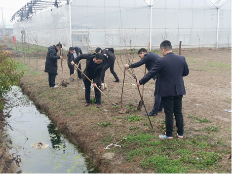 六台宝典资料免费大全